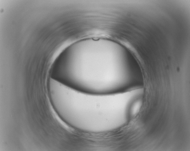 X0000058141383200509230835