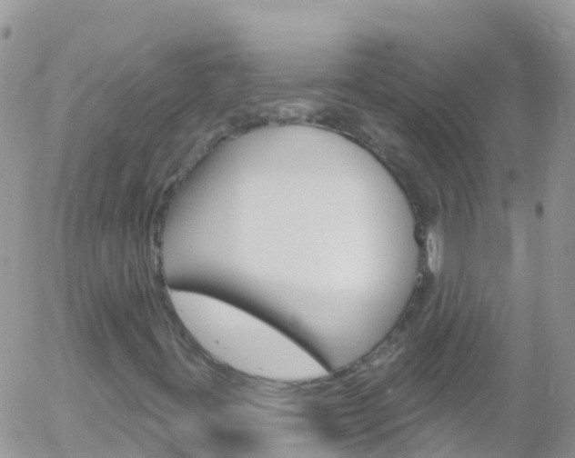 X0000058141395200509230834