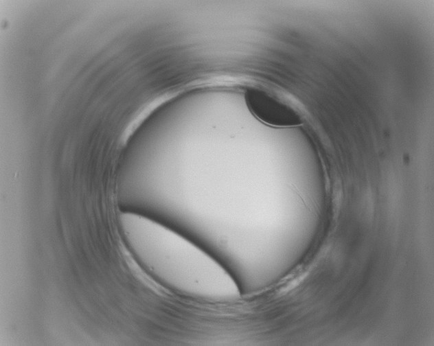 X0000058141417200509230835