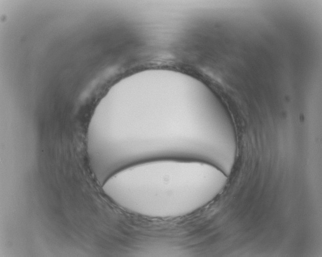 X0000058141447200509230834