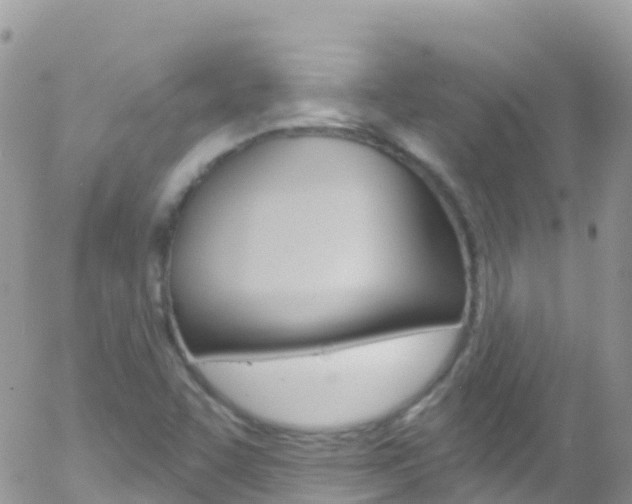 X0000058141455200509230834