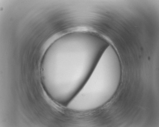 X0000058141475200509230834