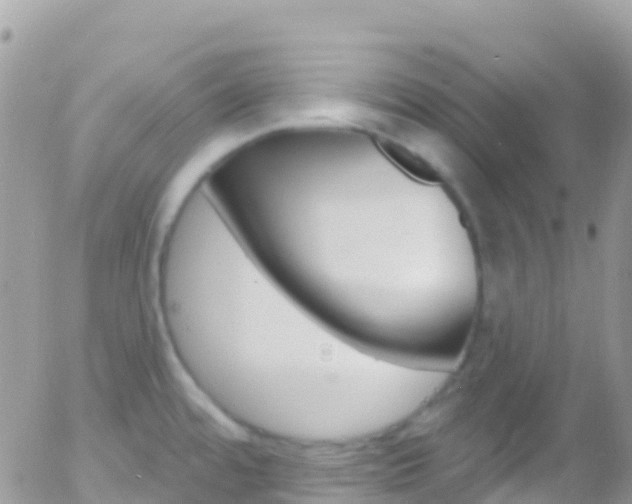 X0000058141480200509230834
