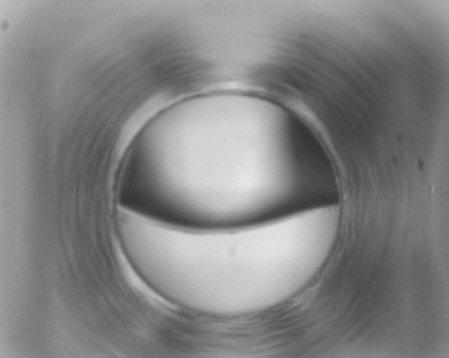 X0000058141483200509230834