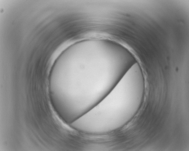 X0000058141486200509230834