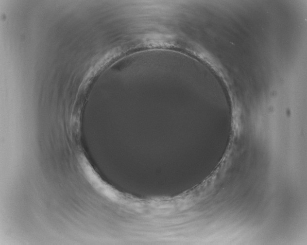 X0000058140009200509231053