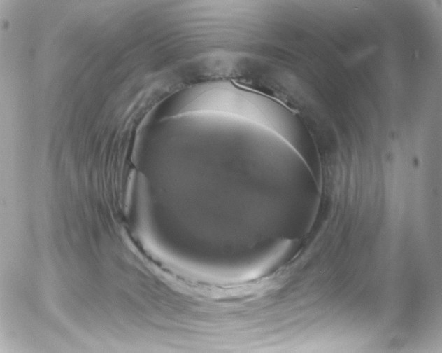 X0000058140035200509231052