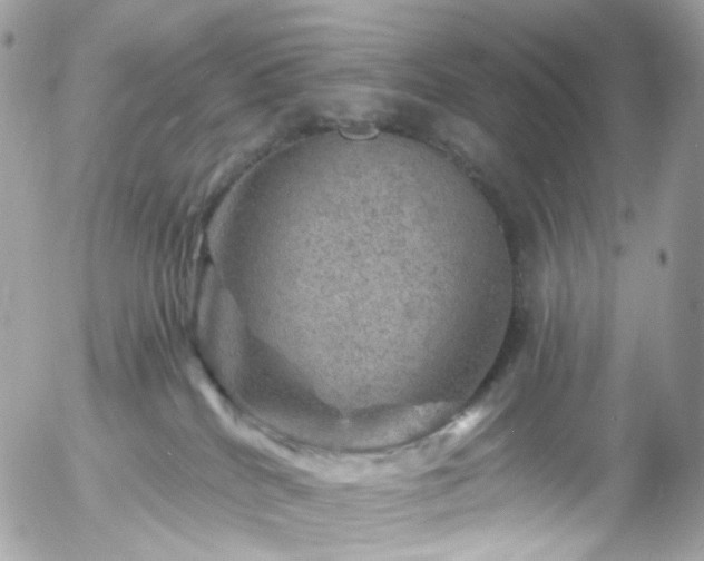 X0000058140040200509231052
