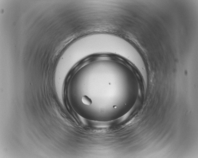 X0000058140068200509231052