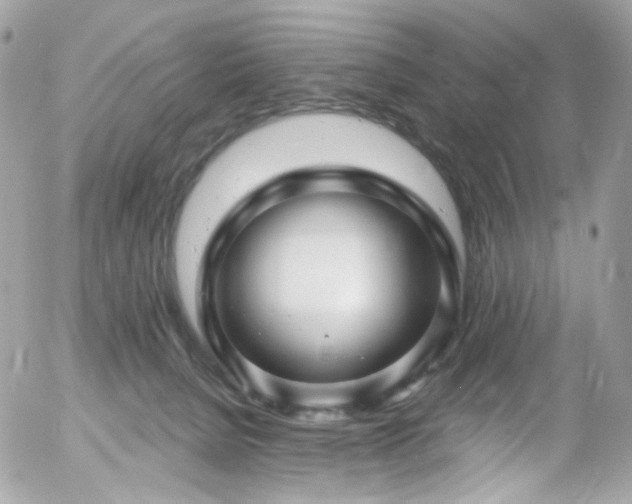 X0000058140080200509231052