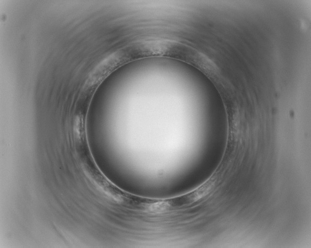 X0000058140122200509231051