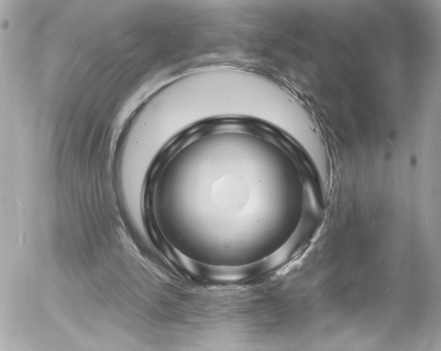 X0000058140150200509231050