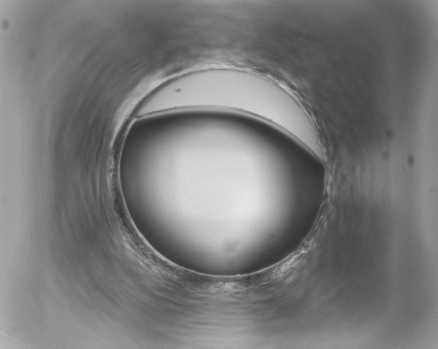 X0000058140152200509231050