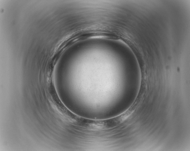 X0000058140164200509231050
