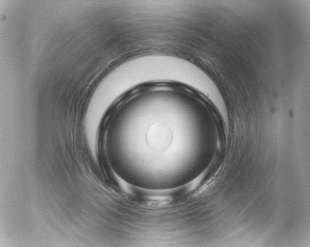 X0000058140172200509231050