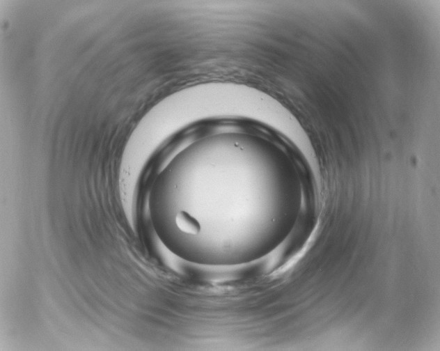 X0000058140186200509231050