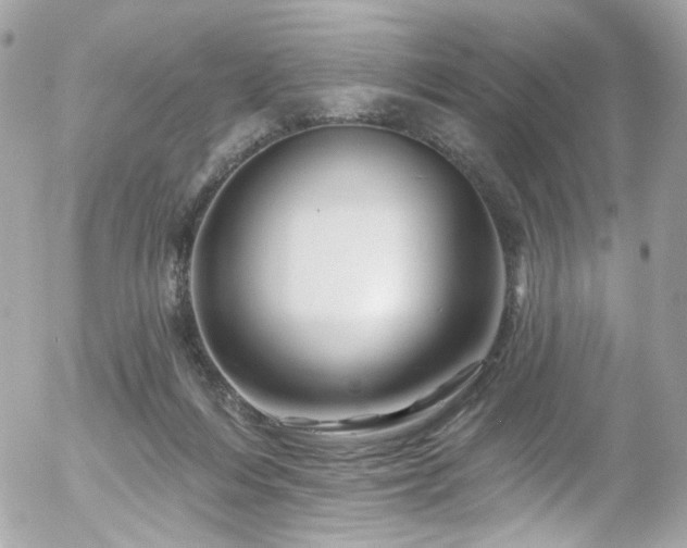 X0000058140216200509231049