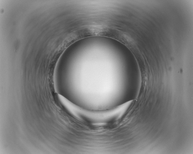X0000058140221200509231049