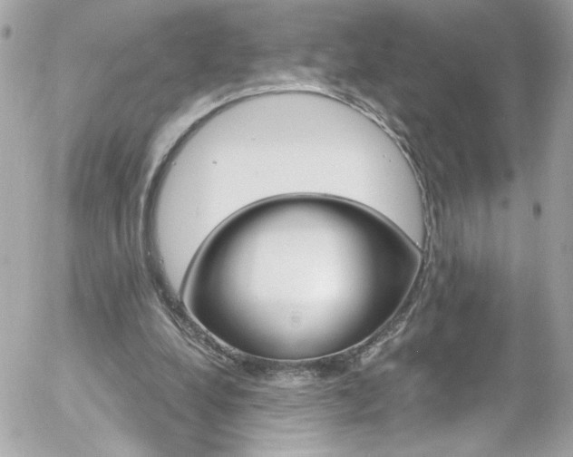 X0000058140248200509231048