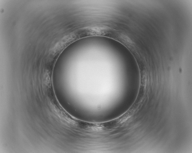 X0000058140318200509231048