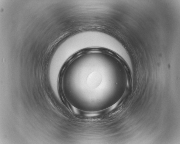 X0000058140356200509231047