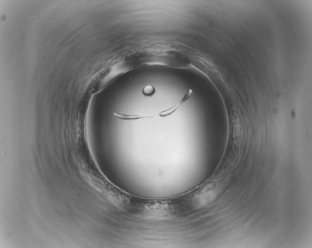 X0000058140362200509231047