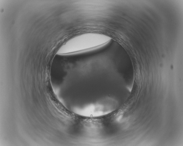 X0000058140367200509231047