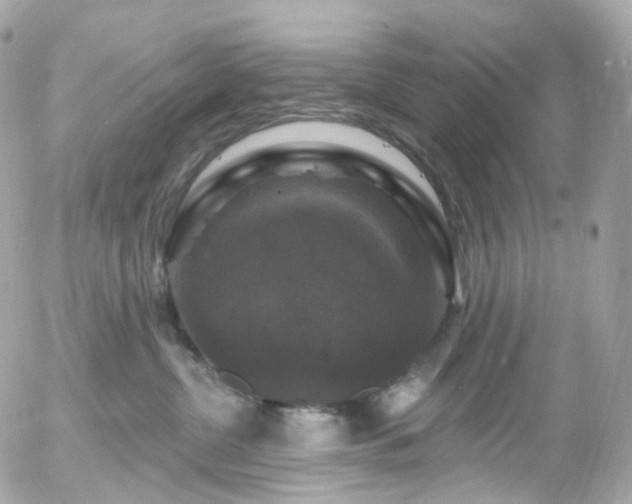 X0000058140380200509231047