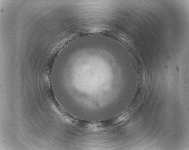 X0000058140415200509231046