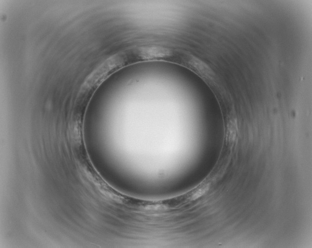 X0000058140426200509231046