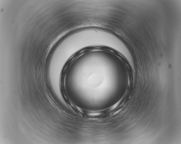 X0000058140440200509231045