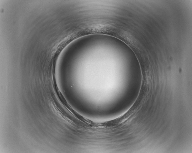 X0000058140450200509231045