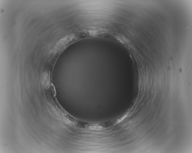 X0000058140471200509231045