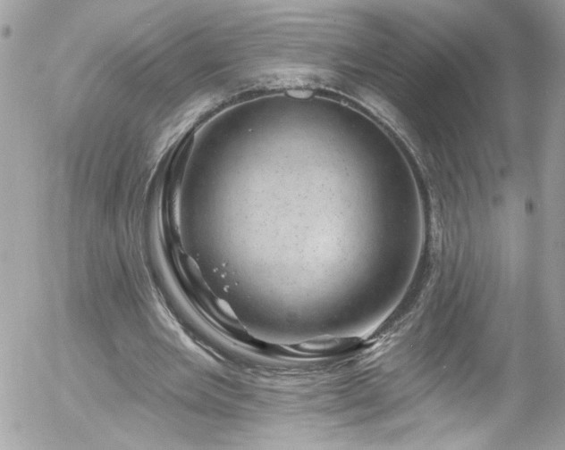 X0000058140485200509231045