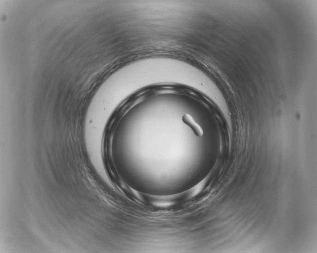 X0000058140505200509231044