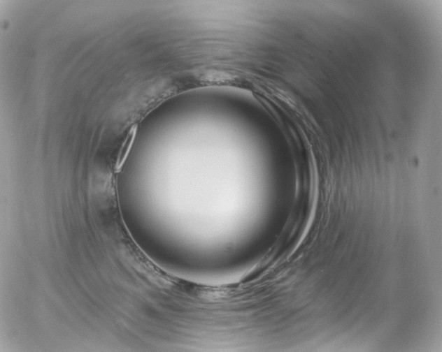 X0000058140521200509231044