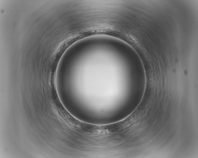 X0000058140543200509231043