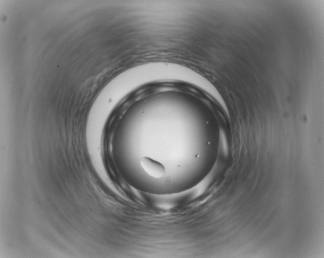 X0000058140570200509231044