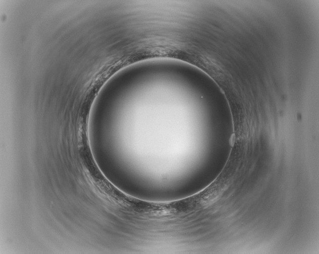 X0000058140646200509231042