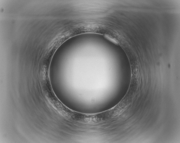 X0000058140744200509231040