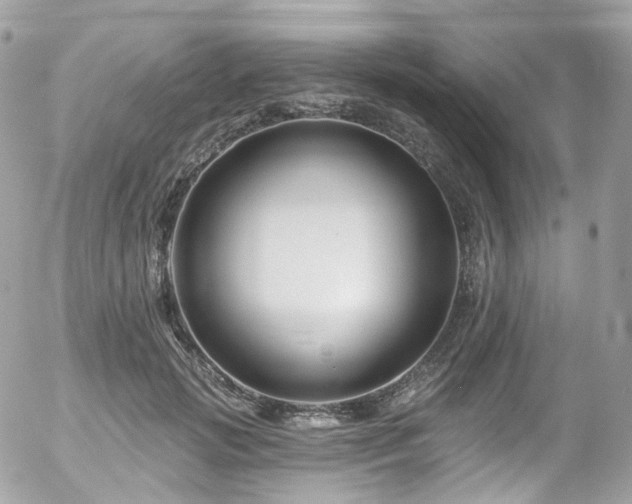 X0000058140749200509231040