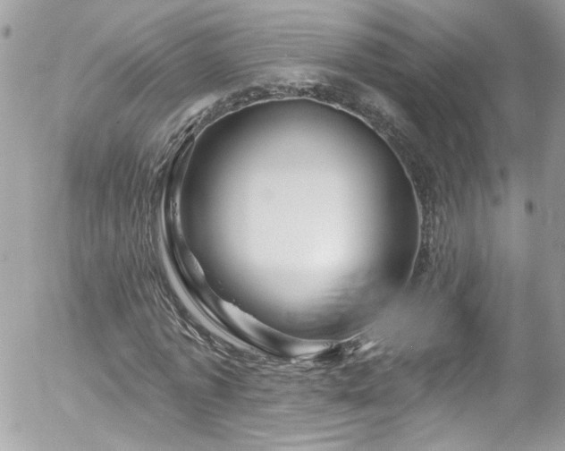 X0000058140773200509231040
