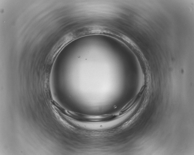 X0000058140801200509231039