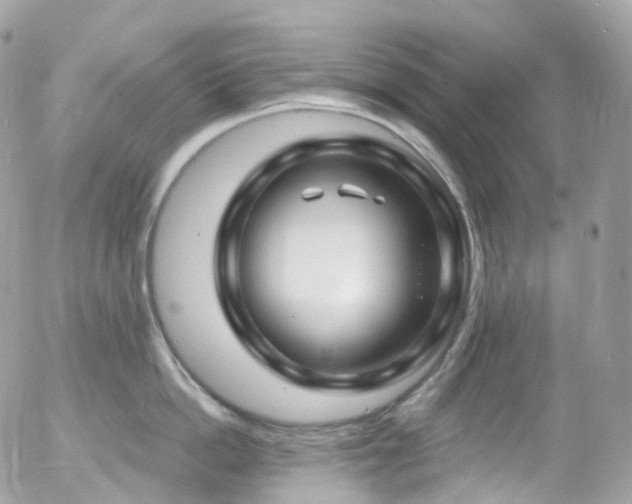 X0000058140862200509231039