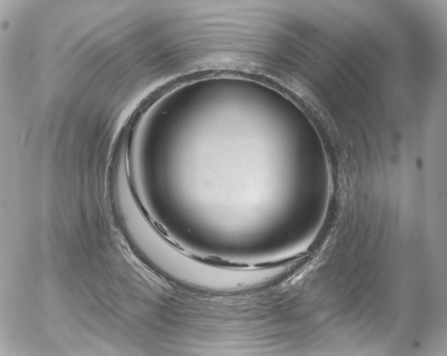 X0000058140880200509231038