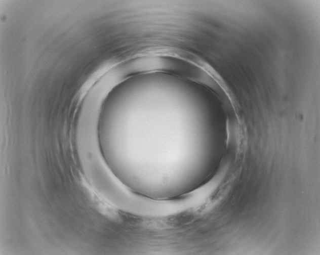 X0000058140909200509231037
