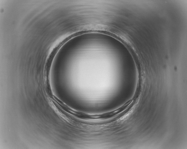 X0000058140981200509231036