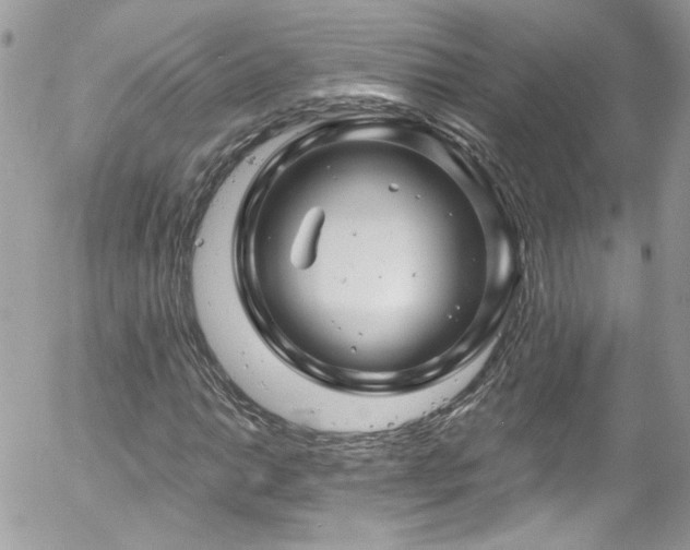X0000058141014200509231035