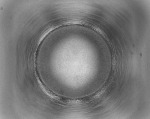 X0000058141039200509231035