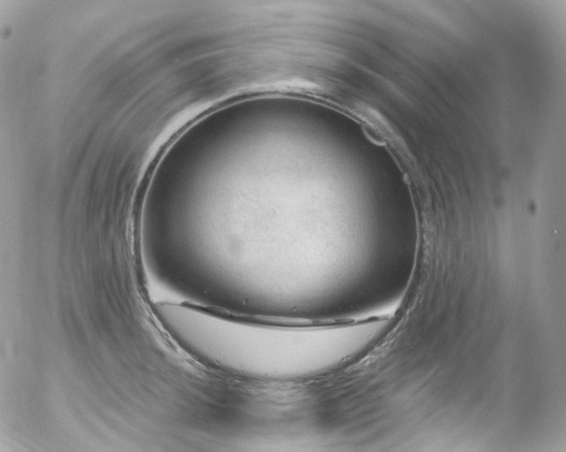 X0000058141044200509231036
